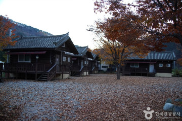 인제 미산리 개인약수 여행 추천 - 메고지고