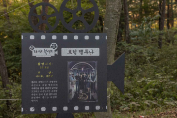 대조사(부여) 여행 추천 - 메고지고