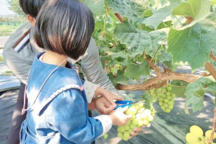 온달과평강농원 여행 추천 - 메고지고