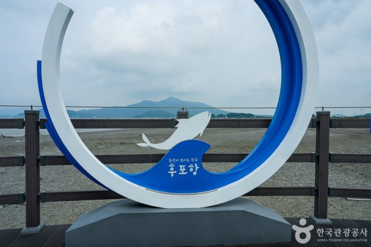 후포항 선수포구 여행 추천 - 메고지고