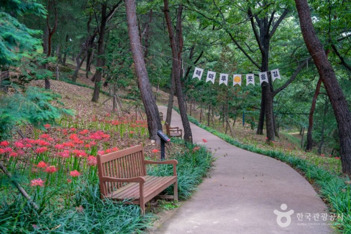 해마루공원 여행 추천 - 메고지고