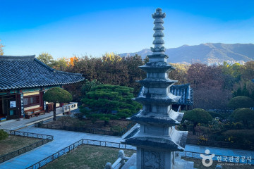 대구두류공원 여행 추천 - 메고지고