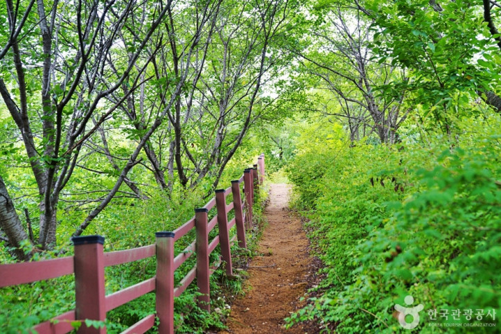 농암정 여행 추천 - 메고지고