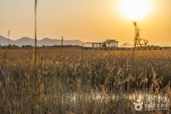 다대포해수욕장 여행 추천 - 메고지고