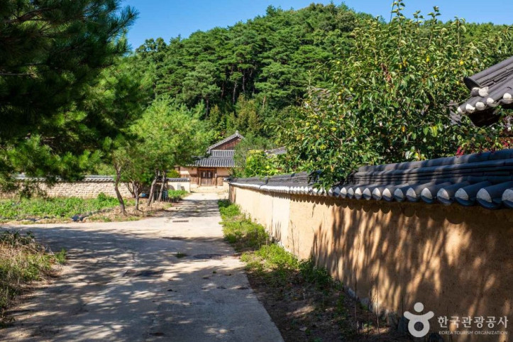 안동 내앞마을 여행 추천 - 메고지고