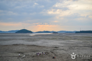 웅도 여행 추천 - 메고지고