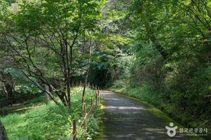 용인자연휴양림 여행 추천 - 메고지고
