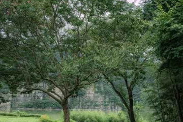 화순 서유리 공룡발자국화석 산지 여행 추천 - 메고지고
