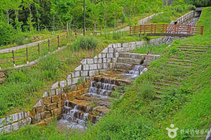 산수유 자연휴양림 여행 추천 - 메고지고