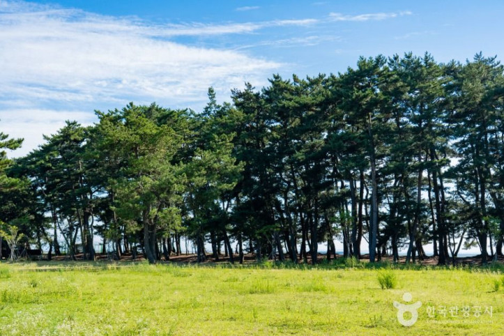 궁평관광지 여행 추천 - 메고지고