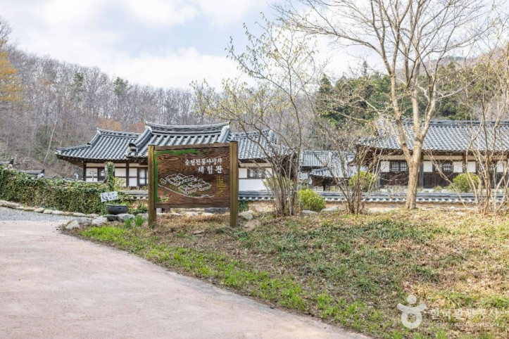 순천전통야생차체험관 여행 추천 - 메고지고