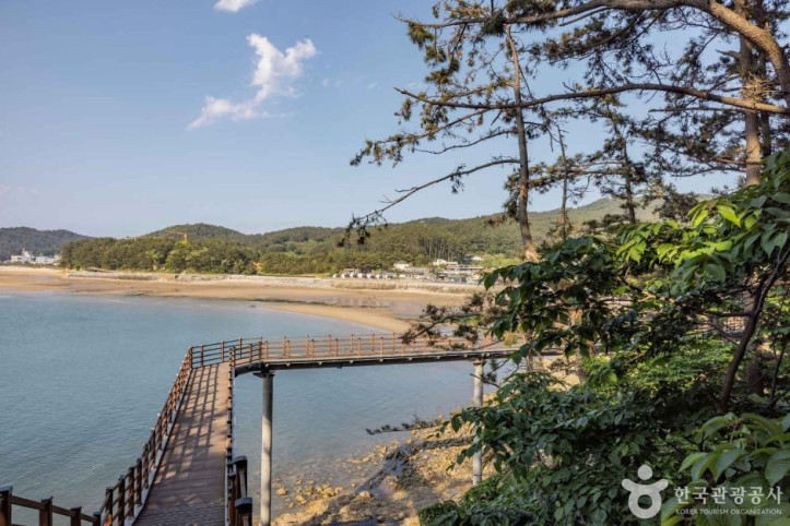 뭍닭섬 산책로 여행 추천 - 메고지고