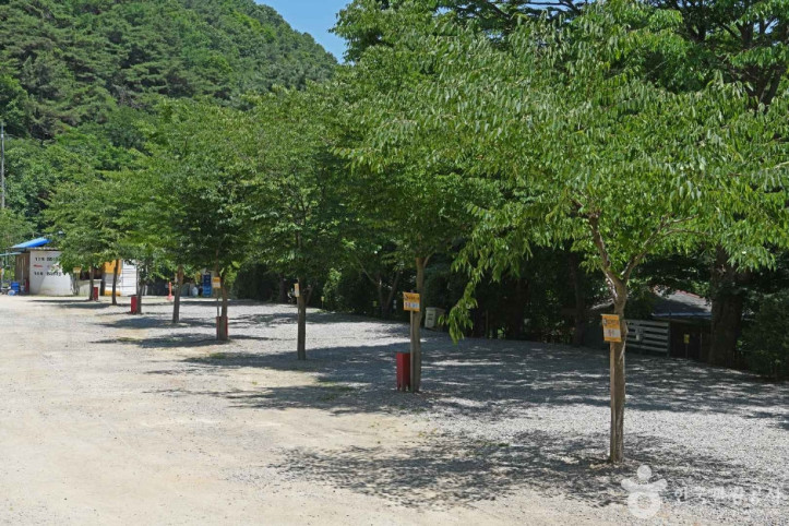 광덕산 관광농원 여행 추천 - 메고지고