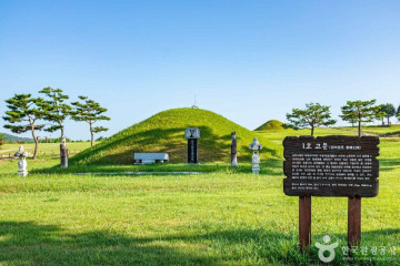 의성 제오리 공룡발자국 화석산지 여행 추천 - 메고지고