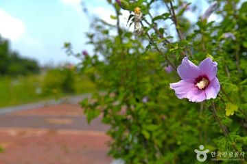 고군산군도 여행 추천 - 메고지고