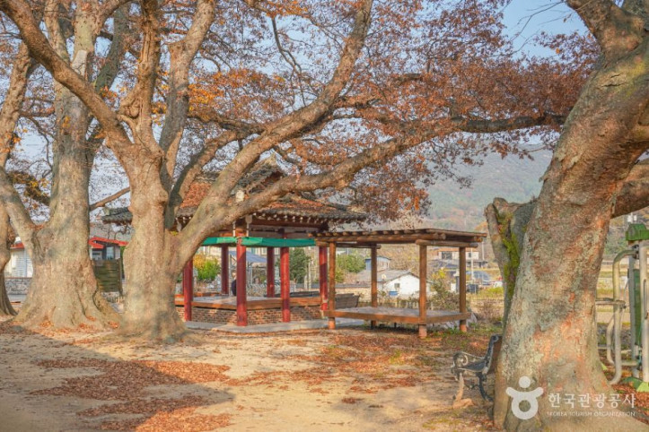 영광 용암마을 여행 추천 - 메고지고