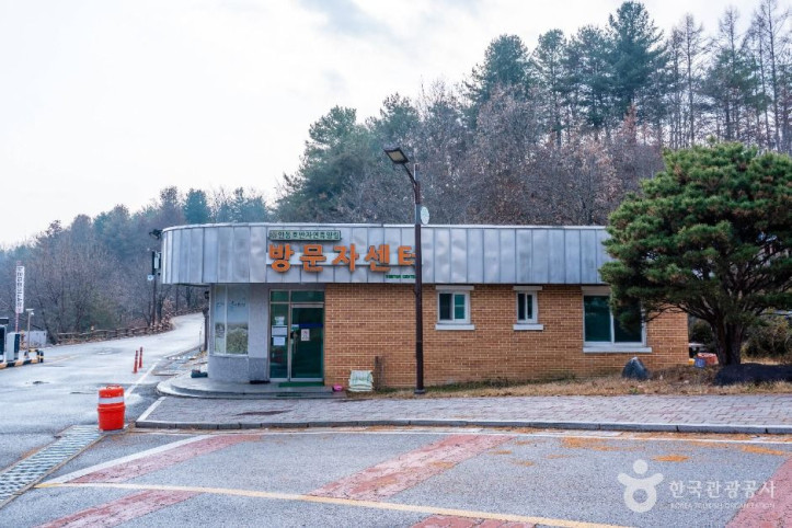 안동호반자연휴양림 여행 추천 - 메고지고