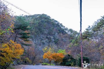 구인사(단양) 여행 추천 - 메고지고