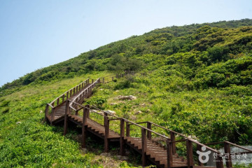 초도(여수) 여행 추천 - 메고지고