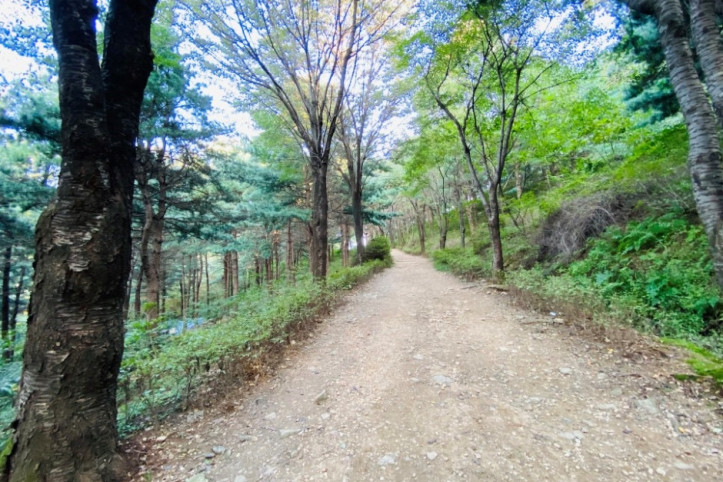 독산성산림욕장 여행 추천 - 메고지고