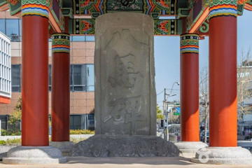 팔마비 여행 추천 - 메고지고