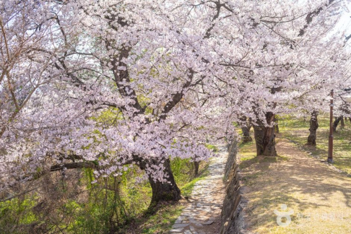 사천선진리성 여행 추천 - 메고지고