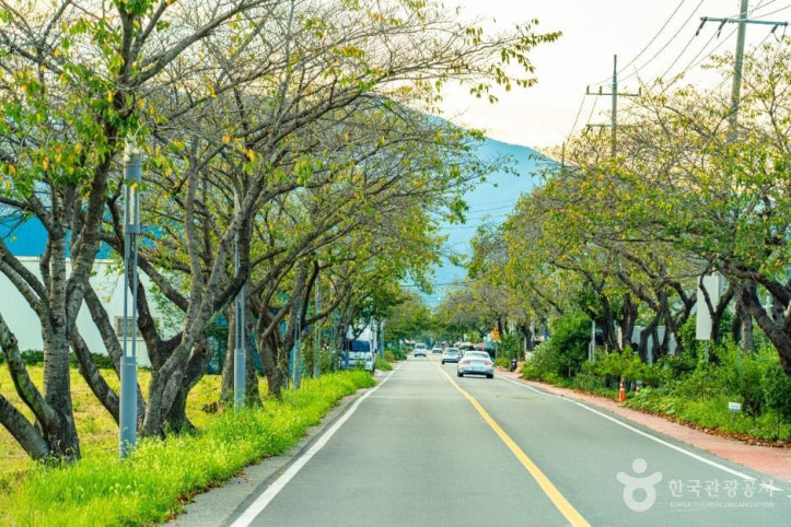 하동명품배거리 여행 추천 - 메고지고