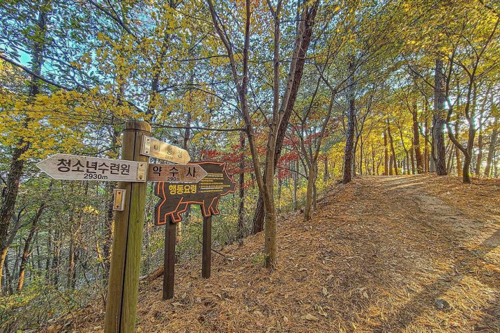 비봉산(안성) 여행 추천 - 메고지고