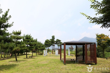 용당나루 매화공원 여행 추천 - 메고지고