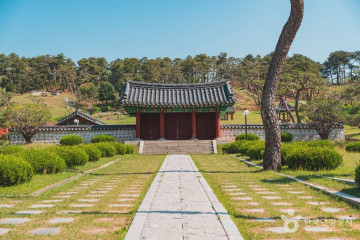 법룡사 여행 추천 - 메고지고