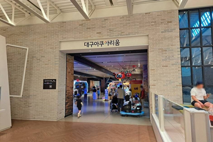 대구 아쿠아리움 여행 추천 - 메고지고