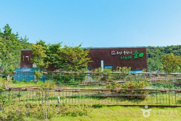 무안 청천리 팽나무와 개서어나무 숲 여행 추천 - 메고지고