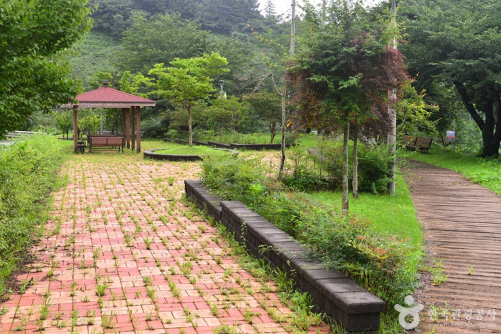 보성 차밭 전망대 여행 추천 - 메고지고
