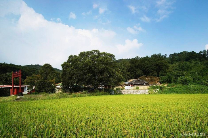 충곡서원 여행 추천 - 메고지고