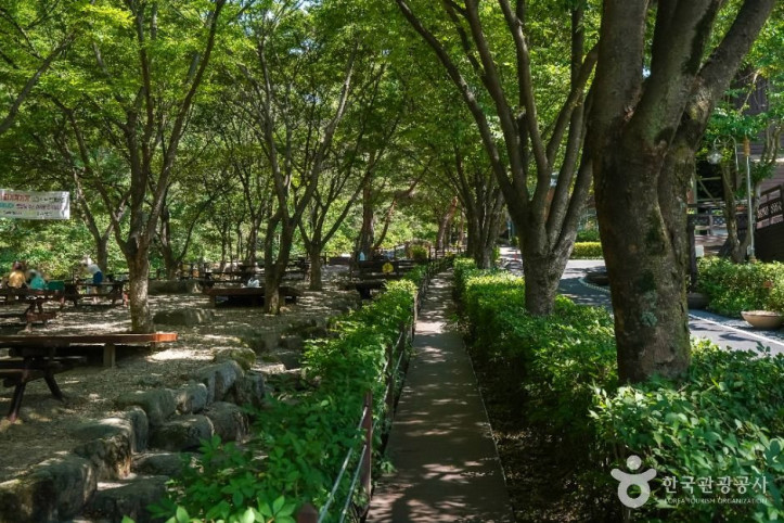 화원자연휴양림 여행 추천 - 메고지고
