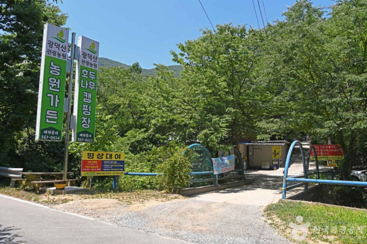 광덕산 관광농원 여행 추천 - 메고지고