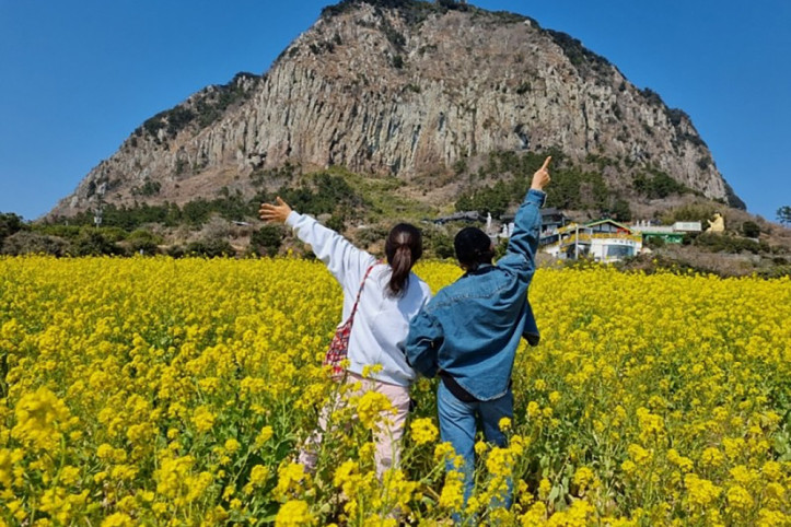산방산유채꽃밭 여행 추천 - 메고지고