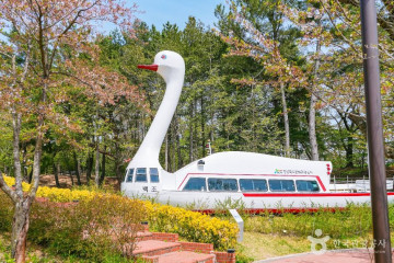 물너울공원 여행 추천 - 메고지고