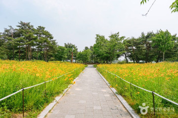 경기상상캠퍼스 여행 추천 - 메고지고