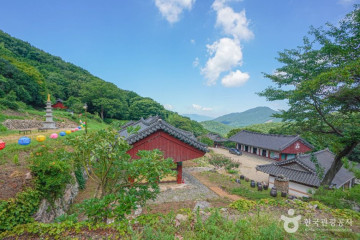 고흥 유자공원 여행 추천 - 메고지고