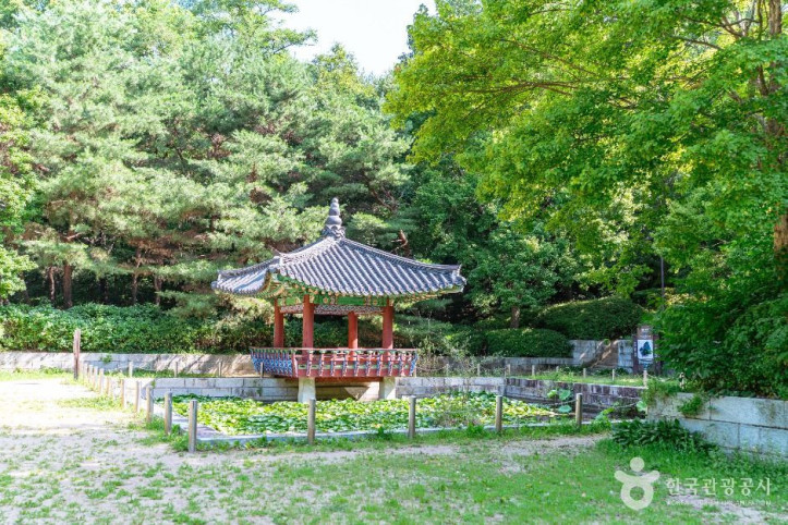 정발산공원 여행 추천 - 메고지고