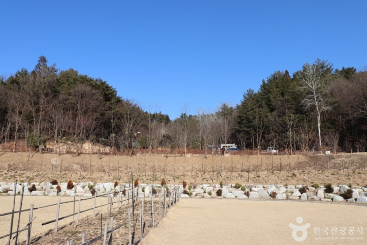 입화산자연휴양림 여행 추천 - 메고지고