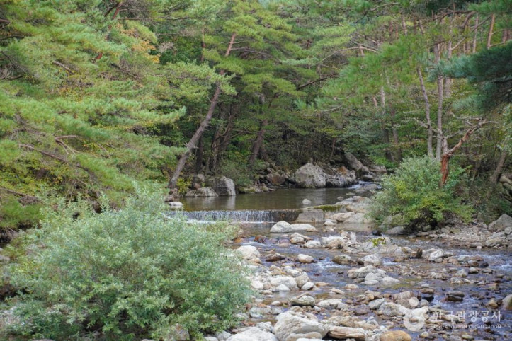 칠연계곡 여행 추천 - 메고지고