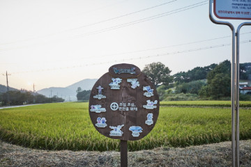 광천생활체육공원 여행 추천 - 메고지고
