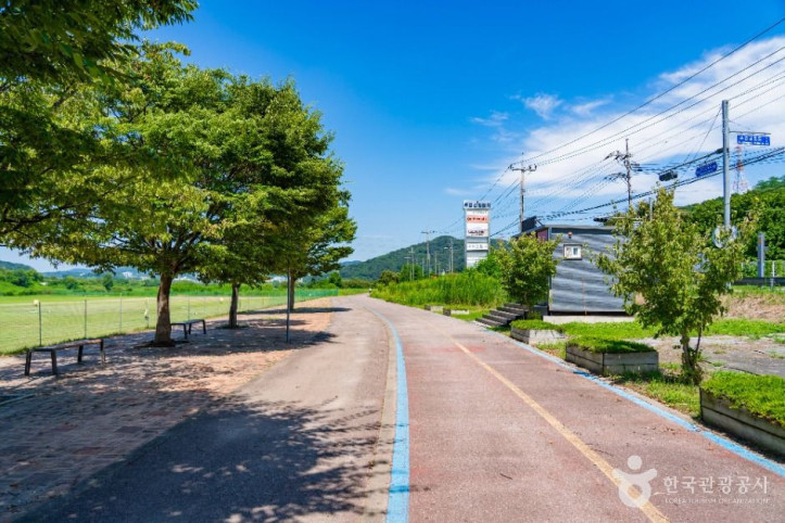 부용체육공원 여행 추천 - 메고지고