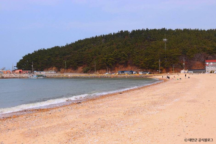 천리포해수욕장 여행 추천 - 메고지고