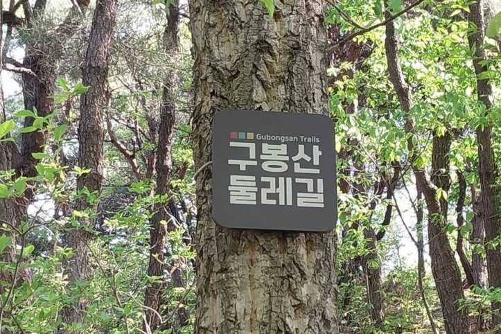 구봉산(대전) 여행 추천 - 메고지고