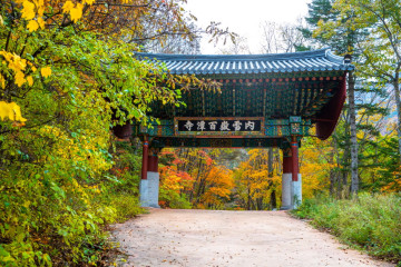 설악산국립공원(내설악) 여행 추천 - 메고지고