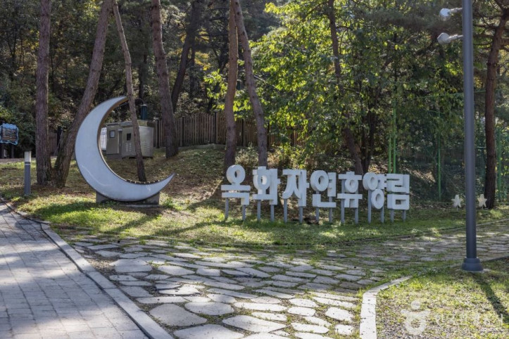 옥화자연휴양림 여행 추천 - 메고지고