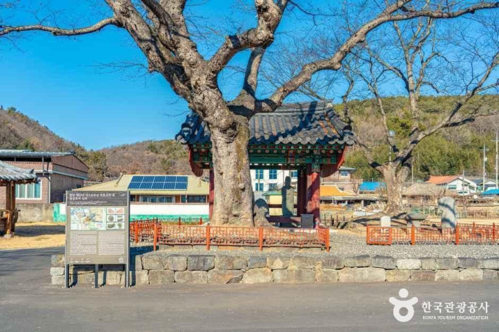 함안 대산리 석조삼존상 여행 추천 - 메고지고
